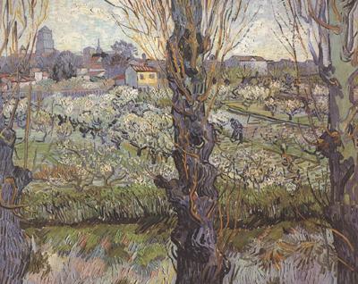 Vincent Van Gogh Orchard in Blossom with View of Arles (nn04) oil painting picture